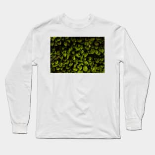 Hydrangea Long Sleeve T-Shirt